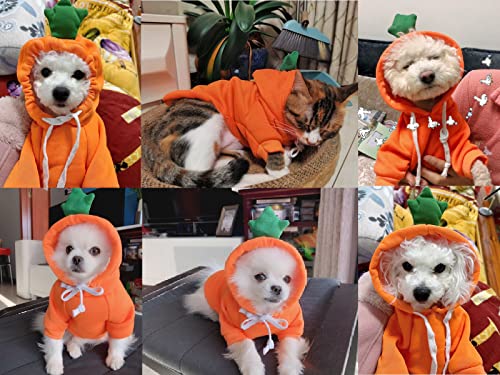 Dog Hoodies Pet Carrot Apparel Puppy Clothes Sweatshirt Doggie Outfits Cat Coat with Hat- Orange (Small)