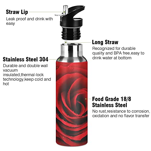 xigua Beautiful Romantic Red Rose Flower Stainless Steel Water Bottle with Straw Lid 22 oz,Thermo Mug,Metal Canteen,Double Wall Vacuum Insulated Leak Proof,Keep Liquids Hot or Cold