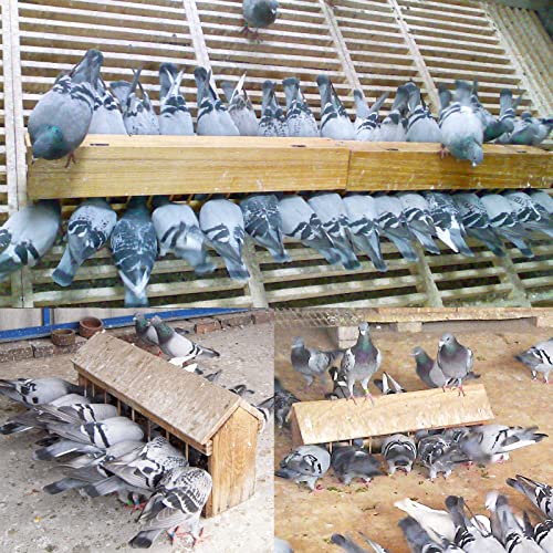 Wooden Pigeon Feeder Bird Feeder Food Dispenser Tool for Pigeon Chicken Duck Bird Poultry Wooden House Design