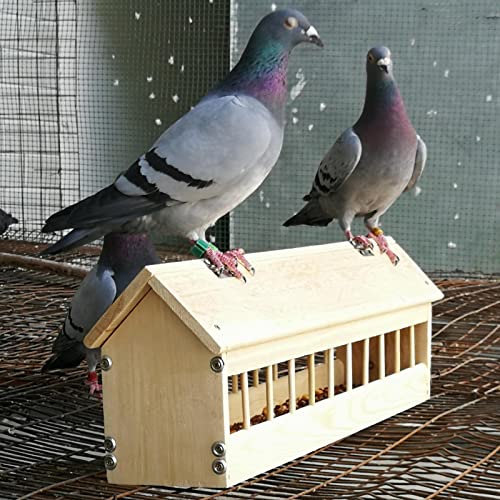 Wooden Pigeon Feeder Bird Feeder Food Dispenser Tool for Pigeon Chicken Duck Bird Poultry Wooden House Design
