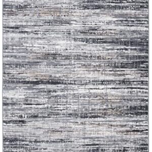 SAFAVIEH Shivan Collection 8' x 10' Light Grey/Dark Grey SHV191F Modern Abstract Distressed Non-Shedding Living Room Dining Bedroom Area Rug