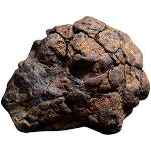 ukcoco real meteorite space rock meteorite fossil science collection lithosiderite ornament with box for lab school random box color