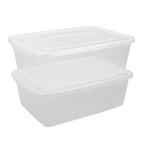 CadineUS 16 Quart Clear Storage Bins, Plastic Tubs with Lids for Storage, 2-Pack