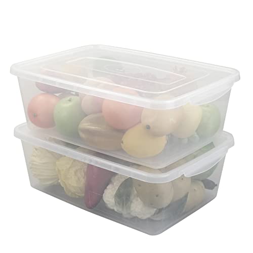 CadineUS 16 Quart Clear Storage Bins, Plastic Tubs with Lids for Storage, 2-Pack