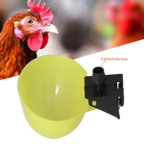 Automatic Bird Drinker Cups, Automatic Poultry Waterer Professional Design for for Pet Bird for Parrots(9.5mm)