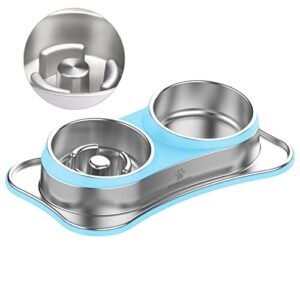 Slow Feeder Dog Bowls DOKIPETTY Stainless Steel Raised Dog Bowl for Small Sized Dogs Puppy Metal Dog Bowl and Water Bowl for Travel and Home