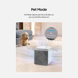 SAMSUNG BESPOKE Cube Air Purifier, Odor Eliminator, Home System w/ HEPA Filtration, 360 Degree Purification, Pet Mode, Smart Control, Traps Dust, AX350A9350N, Grey