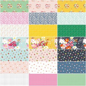 Minki Kim Misty Morning Rolie Polie 40 2.5-inch Strips Jelly Roll Riley Blake Designs RP-11580-40