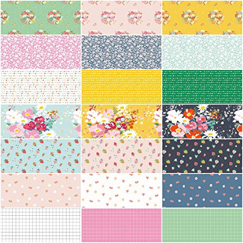 Minki Kim Misty Morning Rolie Polie 40 2.5-inch Strips Jelly Roll Riley Blake Designs RP-11580-40