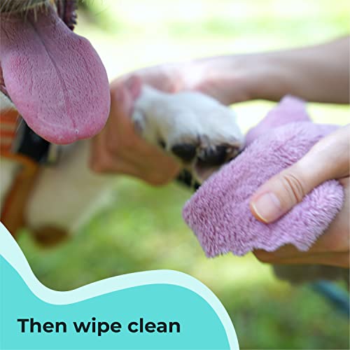 GENTLE CREATURES Magic Foam - Sulfate-Free, Waterless Shampoo Paw Cleaner for Dogs, Cats, Pets - Dry Shampoo, Foot Cleaner Brush - with Orange, Odor Control Wash - Good for Puppy, Sensitive Skin