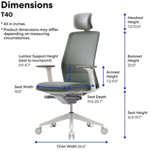 SIDIZ T40 Smart Ergonomic Office Chair : Home Office Chair with Easy Adjustments, Headrest, Lumbar Support, 3D Armrests, Seat Depth, Mesh Back Computer Desk Chair, Alternative Gaming Chair (Gray)