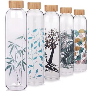 cleesmil borosilicate glass water bottle 16 oz / 32 oz bpa free reusable glass drinking bottle with neoprene sleeve and bamboo lid (16 oz, bamboo)