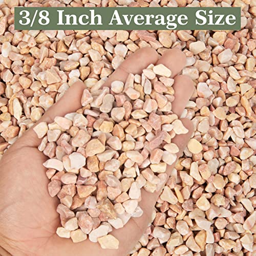 Future Way 5lbs Pea Gravel for Plants, Fish Tank, Aquarium, Terrarium, Succulent, 3/8 Inch Small Pebbles for Indoor and Outdoor Decor