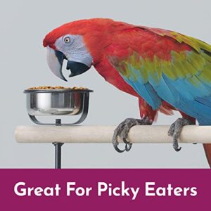 Kaytee Nutri Soft Pet Macaw & Cockatoo Bird Food, 3 Pound