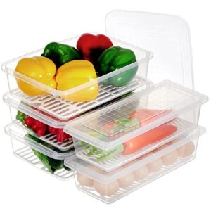 Frcctre Set of 5 Fridge Produce Saver Food Storage Containers Stackable Refrigerator Organizer Bins with Removable Drain Plate and Lid to Keep Produce Fruits Vegetables Meat Egg Fish, 2 Sizes