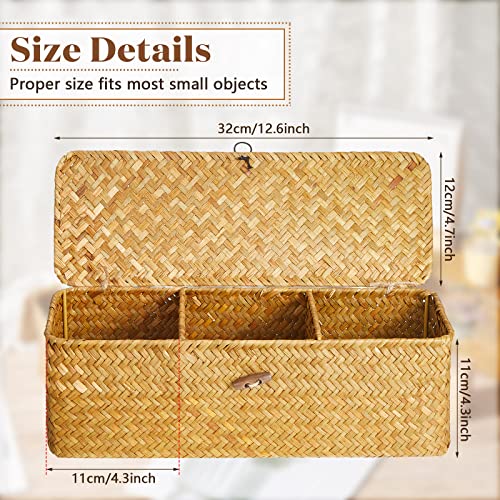 2 Pieces Seagrass Baskets with Lid, Rectangular Hand Woven Wicker Bin Storage Box for Shelves Organizing, Small Rustic Home Storage Organizer Container (Light Orange,12.6 x 4.72 x 4.33 Inches)