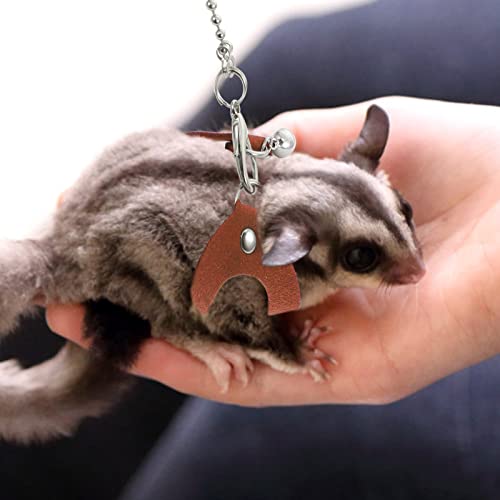 Balacoo Sugar Glider Rope Small Dog Leash Puppy Leash 1 Set Sugar Glider Traction Rope Outdoor Sugar Glider Harness Hauling Rope Bunny Harness Rabbit Harness