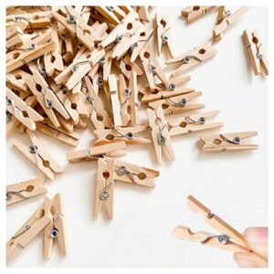 mini clothes pins for photo,natural birchwood, strong grip tiny clothespins,180 pack 1 inch durable wooden small clothes pins,mini clothes pins for crafts, photos,little baby shower