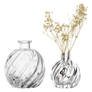 mygift modern clear glass reed diffuser bottle, small round decorative bottles flower bud vase with spiral ribbed textured pattern, set of 2