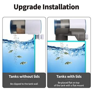 Boxtech Automatic Fish Feeder - Aquarium Tank Timer Fish Feeder Two 1.5V Battery Operated Programmable - Auto Fish Food Dispenser for Aquarium (Packed Without Batteries)