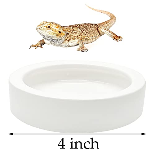 2 Pcs Reptile Food Bowl Ceramic Water Feeder Bowls Anti- Escape Mini Reptile Feeder for Lizard, Gecko etc, Round