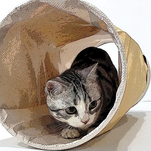 HeyKitten Tearproof Paper Cat Play Tunnel with Crinkle Sound, Durable Kraft Constructed, Collapsible Hideaway Pet Toy for Indoor Kittens, Puppies, Bunnies, Ferrets and Adult Pets, 10" Small