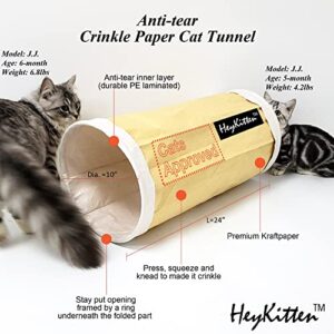 HeyKitten Tearproof Paper Cat Play Tunnel with Crinkle Sound, Durable Kraft Constructed, Collapsible Hideaway Pet Toy for Indoor Kittens, Puppies, Bunnies, Ferrets and Adult Pets, 10" Small