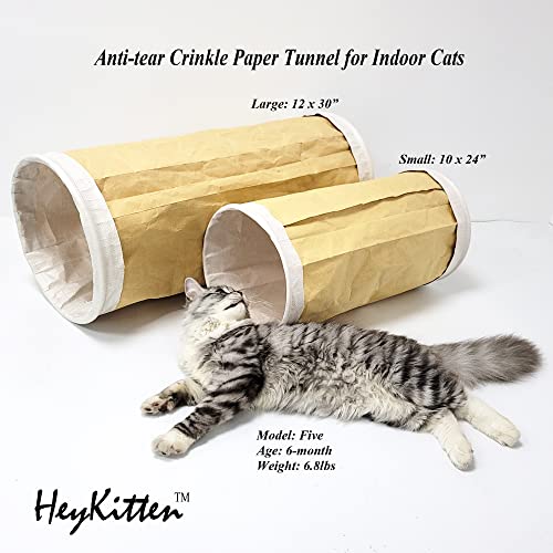 HeyKitten Tearproof Paper Cat Play Tunnel with Crinkle Sound, Durable Kraft Constructed, Collapsible Hideaway Pet Toy for Indoor Kittens, Puppies, Bunnies, Ferrets and Adult Pets, 10" Small