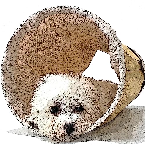 HeyKitten Tearproof Paper Cat Play Tunnel with Crinkle Sound, Durable Kraft Constructed, Collapsible Hideaway Pet Toy for Indoor Kittens, Puppies, Bunnies, Ferrets and Adult Pets, 10" Small