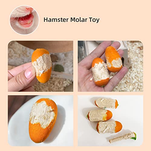 Niteangel Hamster Chew & Decor Toys - for Syrian Dwarf Hamsters Gerbils Mice Lemming Degu or Other Small-Sized Pets (Carrot-Shape (Pack of 6))