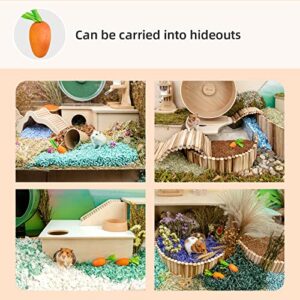 Niteangel Hamster Chew & Decor Toys - for Syrian Dwarf Hamsters Gerbils Mice Lemming Degu or Other Small-Sized Pets (Carrot-Shape (Pack of 6))