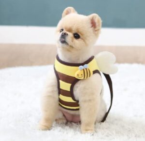 fashionable harness for dog and cat, honey bee harness, simple fashionable harness for small size dog and cat (harness only) (honey bee harness, medium)