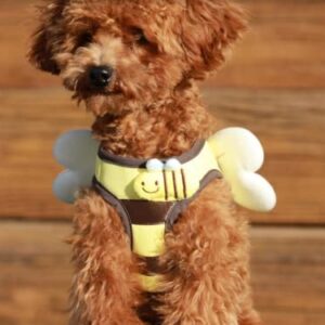 Fashionable Harness for Dog and cat, Honey bee Harness, Simple Fashionable Harness for Small Size Dog and cat (Harness only) (Honey Bee Harness, Medium)