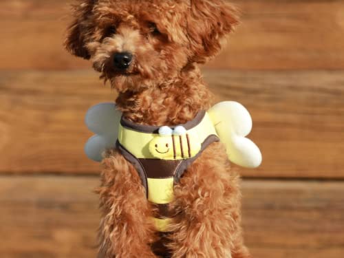 Fashionable Harness for Dog and cat, Honey bee Harness, Simple Fashionable Harness for Small Size Dog and cat (Harness only) (Honey Bee Harness, Medium)