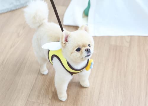 Fashionable Harness for Dog and cat, Honey bee Harness, Simple Fashionable Harness for Small Size Dog and cat (Harness only) (Honey Bee Harness, Medium)