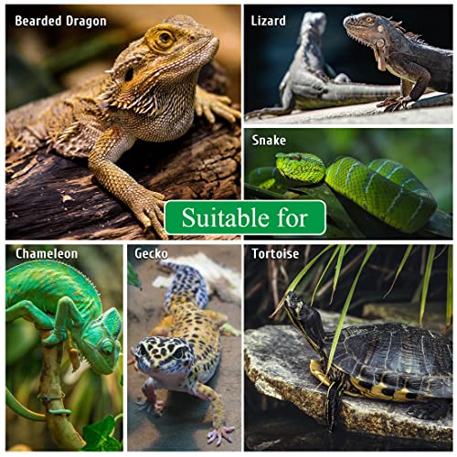 Turtle Basking Platform,Tortoise Shale Step Resting Terrace,Reptile Tree Stump Hideout Cave Terrarium Accessories Aquarium Decoration for Bearded Dragon Lizard Chamelon Gecko Iguana Frog Newt