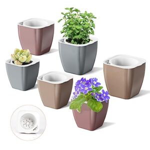 hemoplt self watering plant pots for indoor plants - planters - pack of 6 4" & 5" african violet pots - orchid pots - champagne gold - silver - rose gold