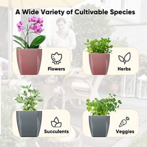 HEMOPLT Self Watering Plant Pots for Indoor Plants - Planters - Pack of 6 4" & 5" African Violet Pots - Orchid Pots - Champagne Gold - Silver - Rose Gold