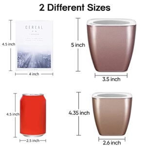 HEMOPLT Self Watering Plant Pots for Indoor Plants - Planters - Pack of 6 4" & 5" African Violet Pots - Orchid Pots - Champagne Gold - Silver - Rose Gold
