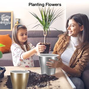 HEMOPLT Plant Pots - Self Watering Pots for Indoor Plants - 5" / 6.7" Planters for Indoor Plants - Pack of 6 Flower Pots - African Violet Pots - Orchid Pot - Gold - Silver - Rose Gold