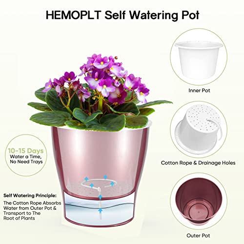 HEMOPLT Plant Pots - Self Watering Pots for Indoor Plants - 5" / 6.7" Planters for Indoor Plants - Pack of 6 Flower Pots - African Violet Pots - Orchid Pot - Gold - Silver - Rose Gold