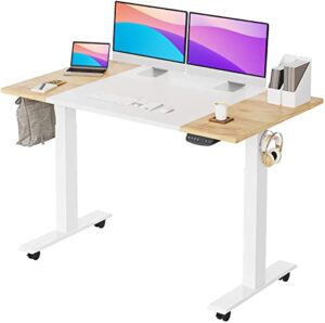 banti height adjustable electric standing desk, 55 x 24 inches stand up desk with pencil holder, sit stand desk with light rustic and white top and white frame, (b-sde-55lw-s)