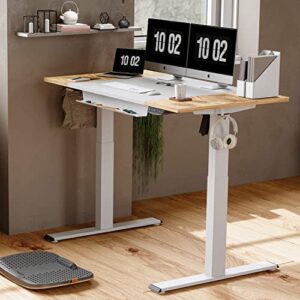 BANTI Height Adjustable Electric Standing Desk, 55 x 24 Inches Stand Up Desk with Pencil Holder, Sit Stand Desk with Light Rustic and White Top and White Frame, (B-SDE-55LW-S)