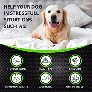 Hemp Calming Chews for Dogs with Anxiety and Stress - 170 Dog Calming Treats - Storms, Barking, Separation - Valerian Root - Melatonin - Hemp Oil - Dog Anxiety Relief - Made in USA | Soft Chews