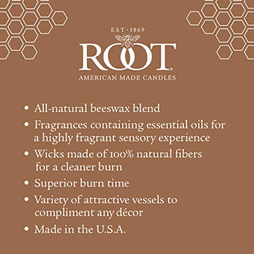 Root Candles Scented Candles Honeycomb Veriglass Premium Handcrafted Beeswax Blend Candle, Large, Coastal Sunrise