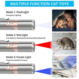 EAWONGEE Cat Interactive Toys for Indoor Cats Dogs, Multi-Mode Pet Kitten Red Light Pen Toys, USB Rechargeable Cat Mouse Toys Wand Light for Outdoor Cat Playing Training Chasing