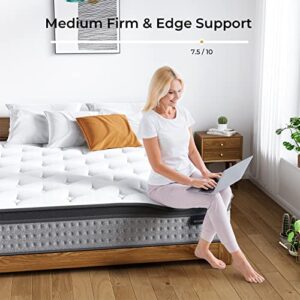 Mattress Topper Full, Innerspring Hybrid Mattress in a Box, Motion Isolation Individually Wrapped Pocket Coils Mattress, Foam and Spring Mattress for Pressure Relief, Purple… (Grey-10 inch, Queen)