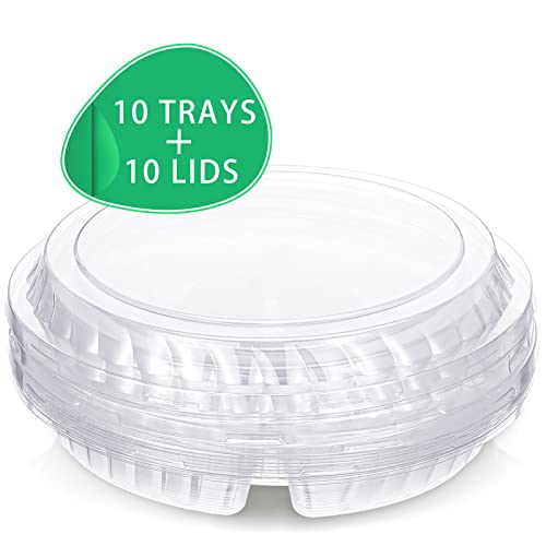 10 Pieces Appetizer Serving Trays with Lids Party Veggie Fruit Snack Trays with Lid Disposable Compartment Serving Platters Vegetable Salad Food Serving Containers (Clear,8.7 x 8.7 x 2.4 Inch)