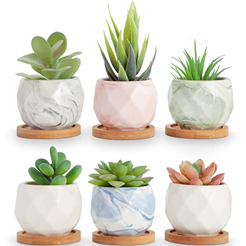 ilohaus Succulent Pots Set of 6, Plant Pots Indoor, Succulent Planters, Small Plant Pots, Cactus Pot, Cute Plant Pots, Small Flower Pots, Small Succulent Pot, Small Planter Set