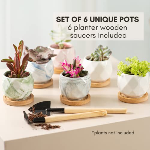 ilohaus Succulent Pots Set of 6, Plant Pots Indoor, Succulent Planters, Small Plant Pots, Cactus Pot, Cute Plant Pots, Small Flower Pots, Small Succulent Pot, Small Planter Set